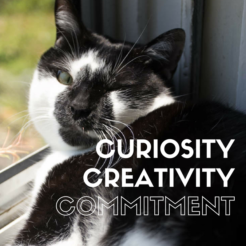 cusiosity, creativity, commitment