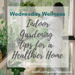 Indoor Gardening for a Healthier Home